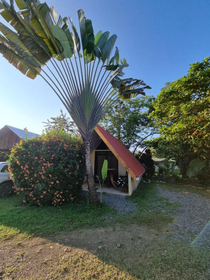 Ballena Oasis Homes & Glamping Uvita Zewnętrze zdjęcie