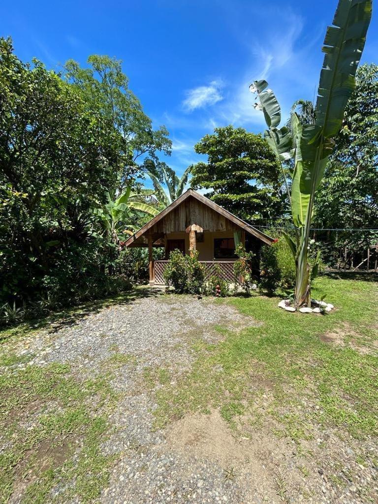 Ballena Oasis Homes & Glamping Uvita Zewnętrze zdjęcie
