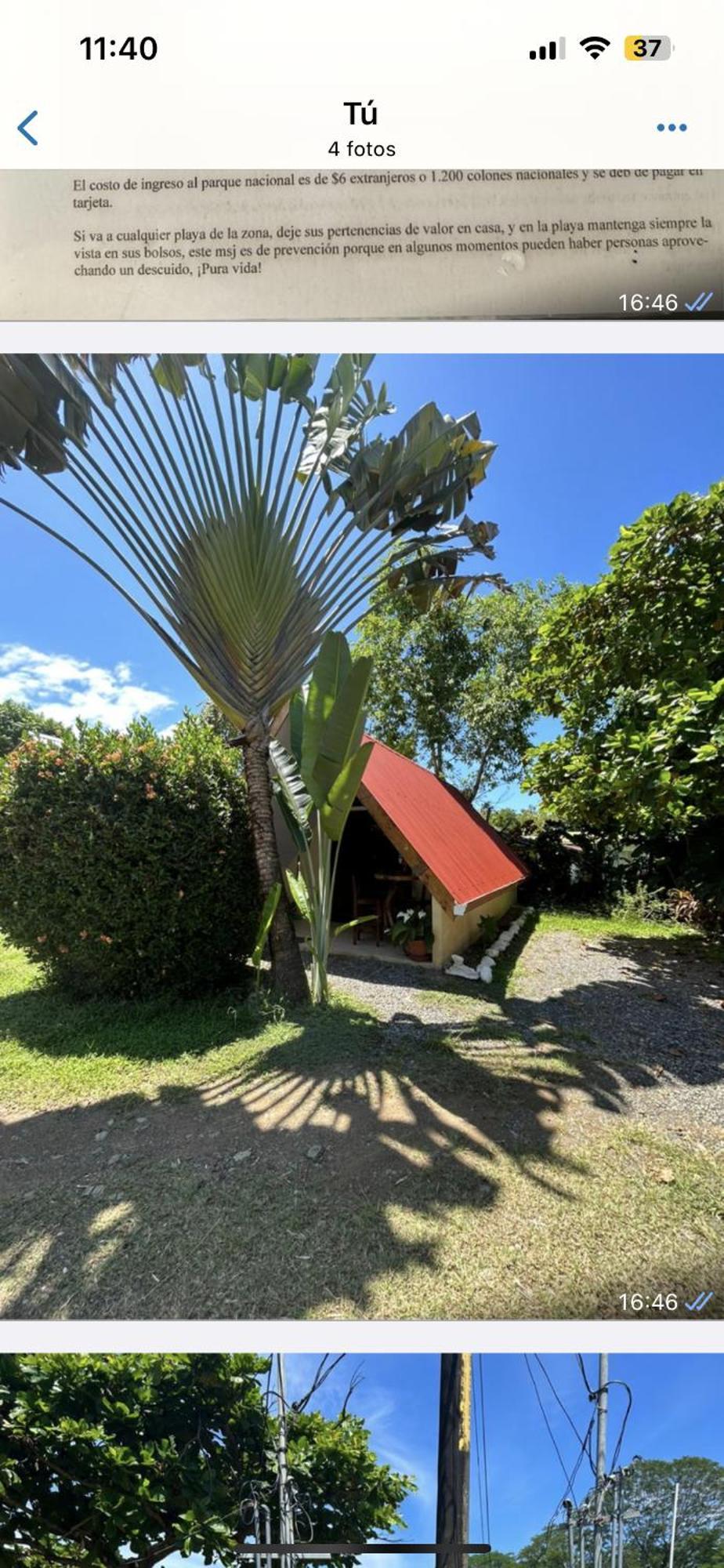 Ballena Oasis Homes & Glamping Uvita Zewnętrze zdjęcie
