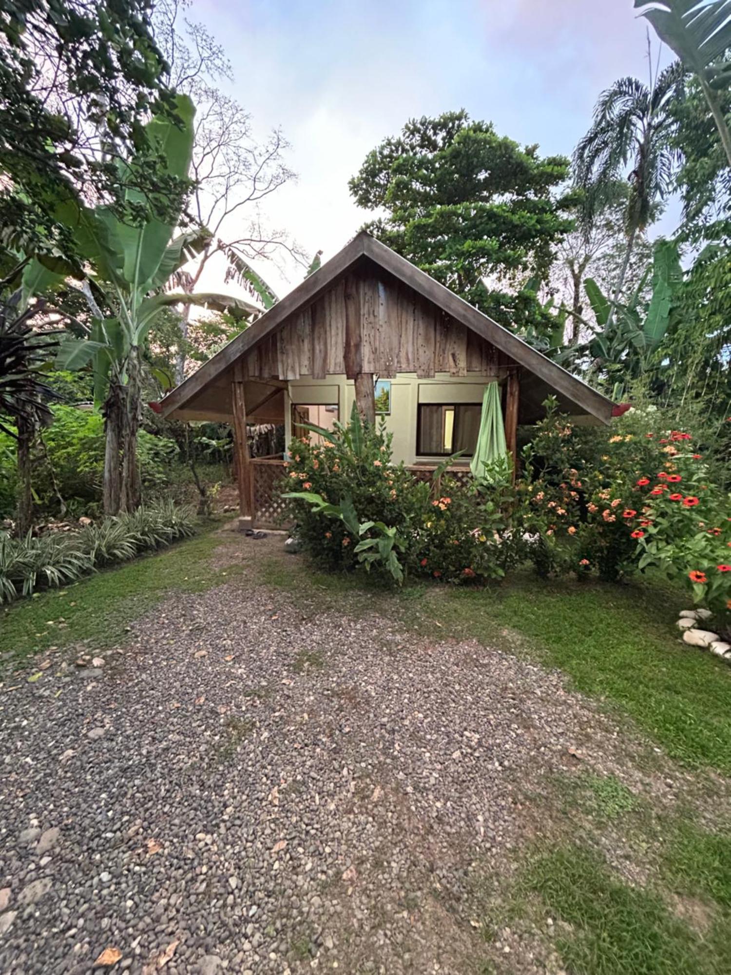 Ballena Oasis Homes & Glamping Uvita Zewnętrze zdjęcie