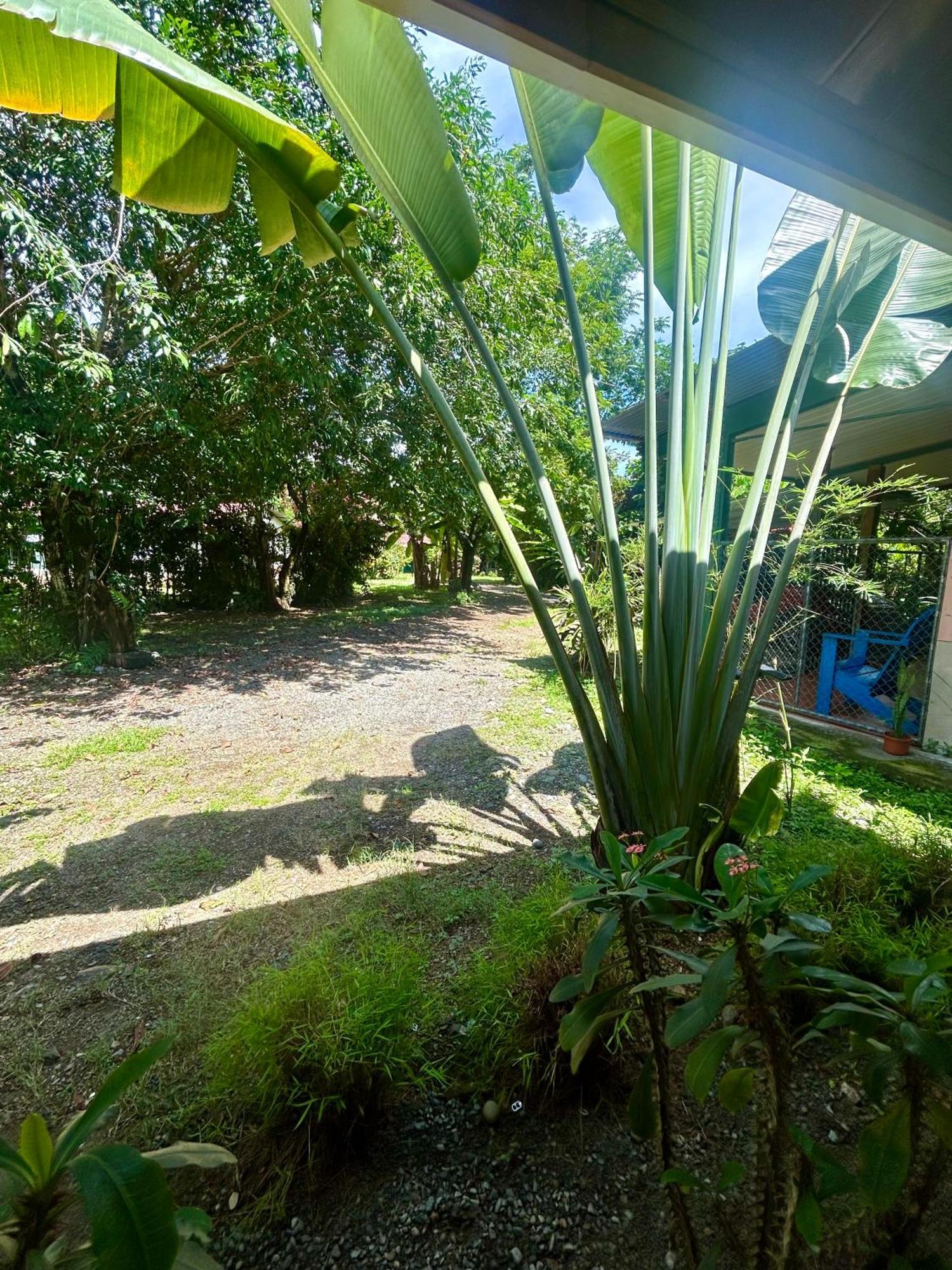 Ballena Oasis Homes & Glamping Uvita Zewnętrze zdjęcie