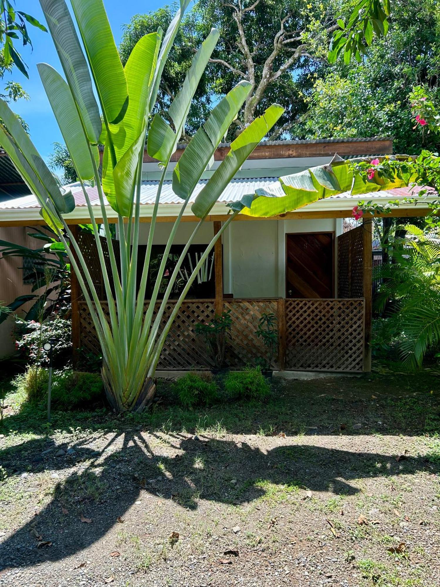 Ballena Oasis Homes & Glamping Uvita Zewnętrze zdjęcie