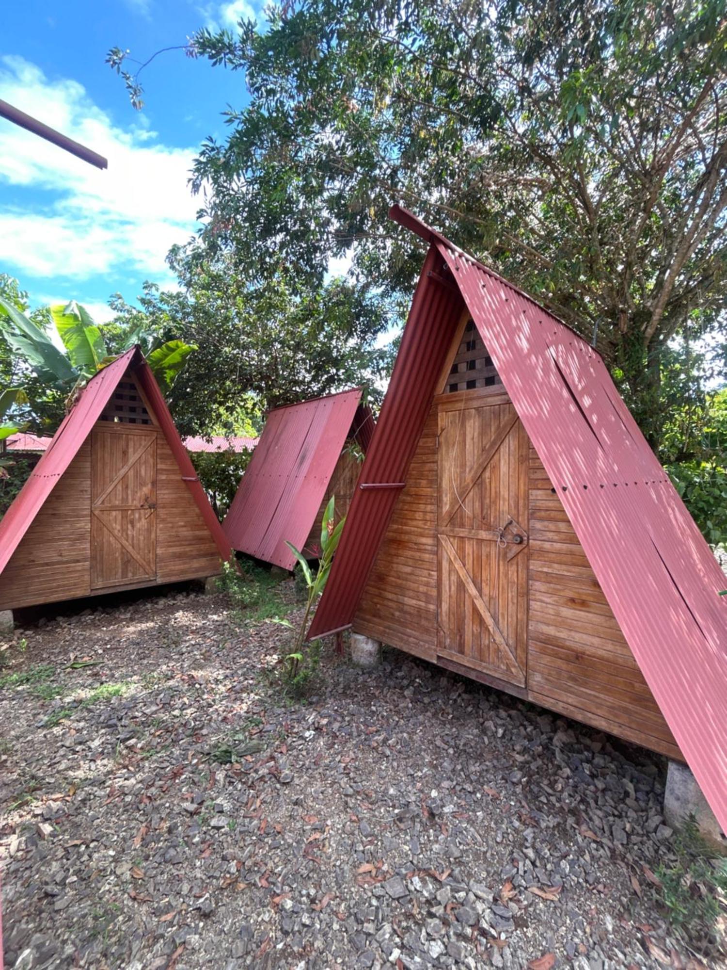 Ballena Oasis Homes & Glamping Uvita Zewnętrze zdjęcie