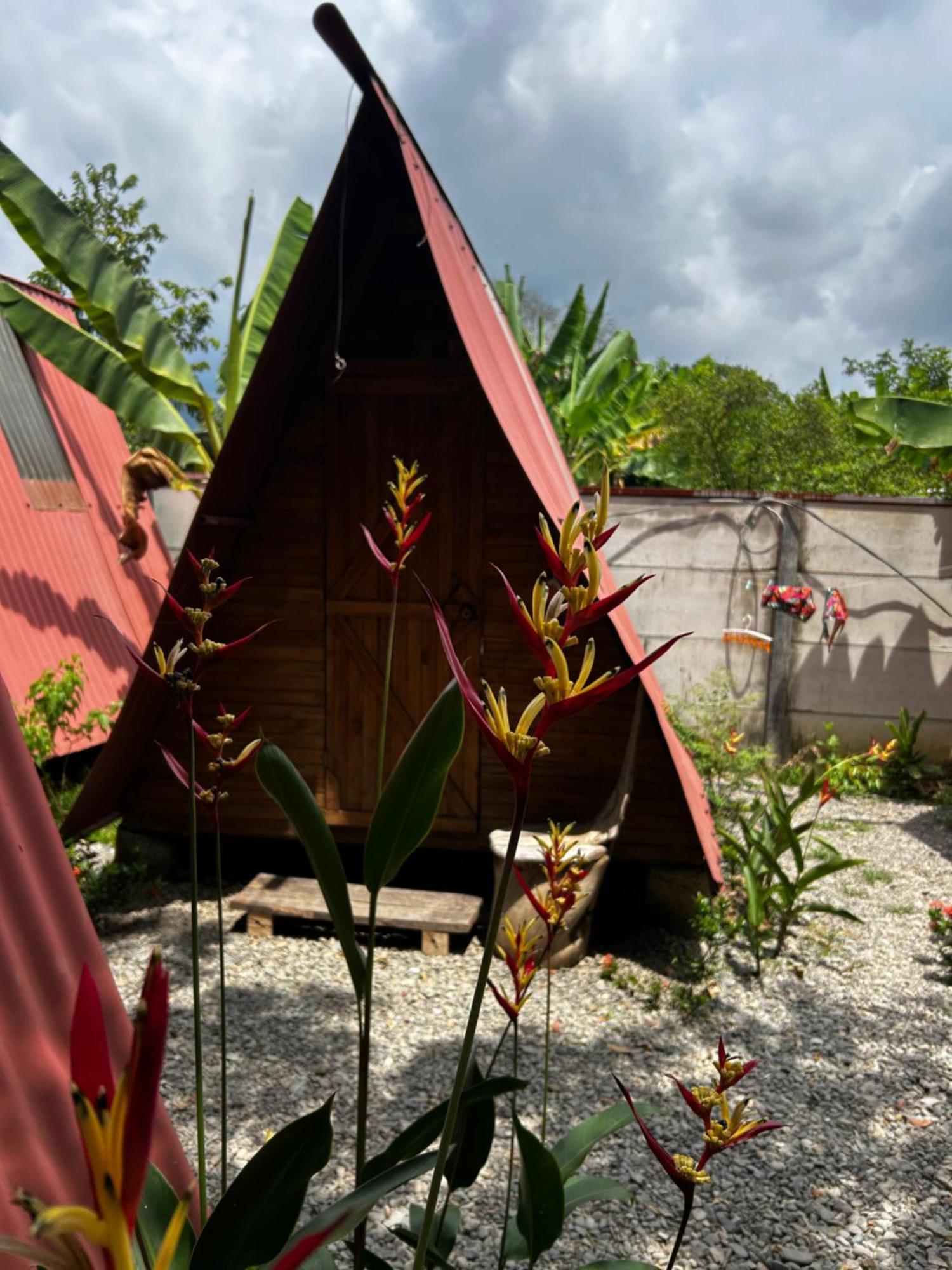 Ballena Oasis Homes & Glamping Uvita Zewnętrze zdjęcie